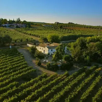 Elegant Villa in Montilla with Private Pool