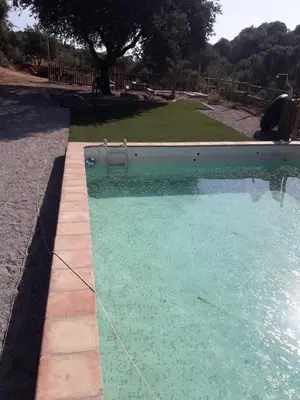 Piscina en o cerca de Alojamiento Los Chozos