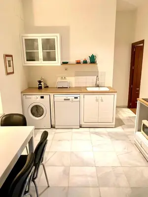 Una cocina o zona de cocina en Recaredo Apartments
