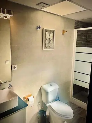 Un baño de Dúplex el Espejo de la Mezquita