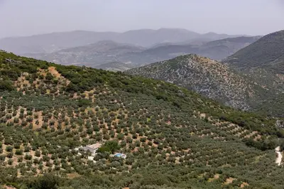 Paisaje cerca de esta villa