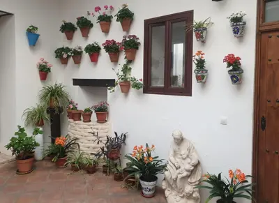 Jardín al aire libre en Entre patios y flores