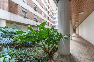 Jardín al aire libre en Ideal apto 1 hab 4 px acogedor y buenas calidades