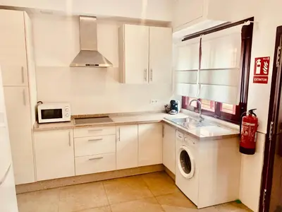 Una cocina o zona de cocina en Apartamentos Pintor Losada
