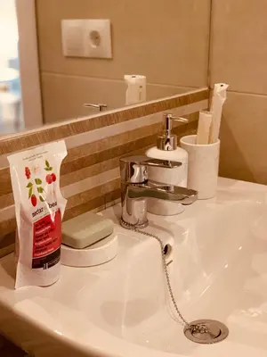 Un baño de Apartamentos Pintor Losada