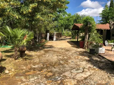 Jardín al aire libre en Vivienda Turística La Huerta