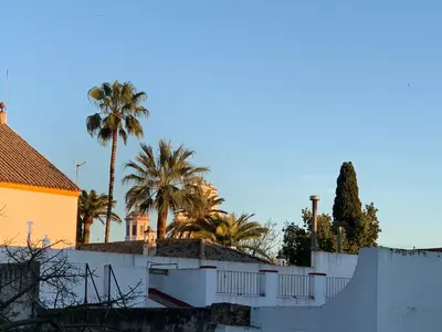 Plano de Hispalis San Juan de la Palma