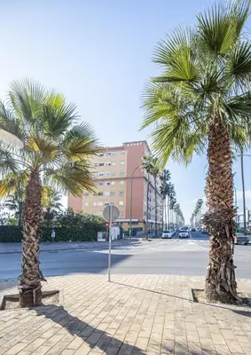 El barrio de los alrededores o un barrio cerca de este apartamento