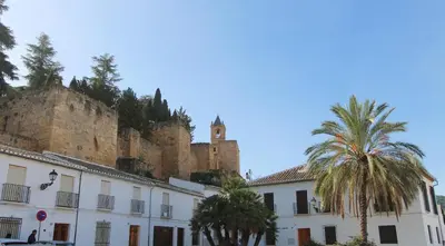 Edificio en el que se encuentra la casa o chalet