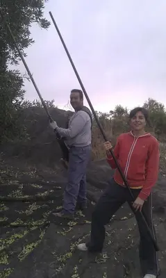 Clientes alojados en Cortijo el llano Priego de Córdoba