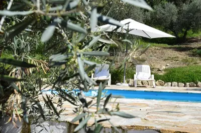 Piscina en o cerca de La Pluma