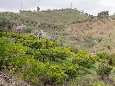 Paisaje cerca of this country house