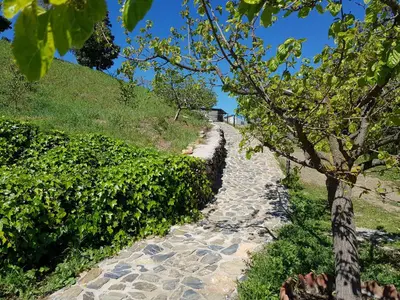 Paisaje cerca de este apartamento