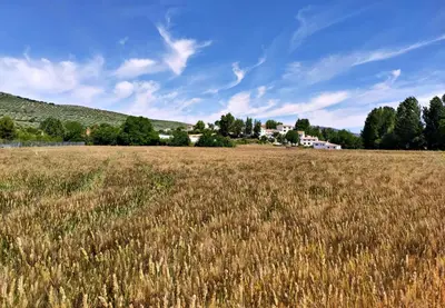 Paisaje cerca de este apartamento