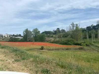 Paisaje cerca de este apartamento