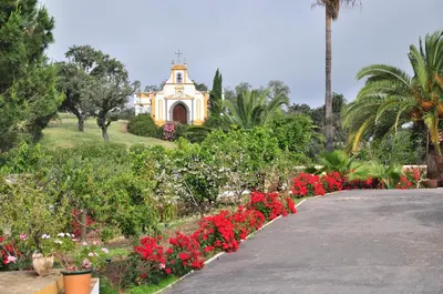 Jardín al aire libre en La Rejaquera