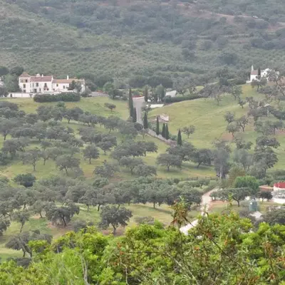 La Rejaquera