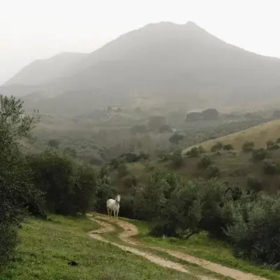 Holiday Home in Villanueva near El Terril Peak