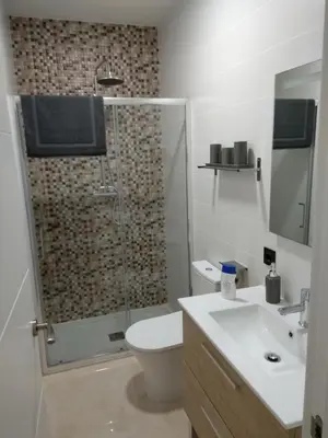 Un baño de Apartamentos Cordoba