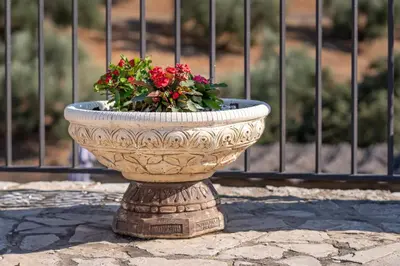 Jardín al aire libre en Hacienda la buena vida B&B en appartementen casita almendas