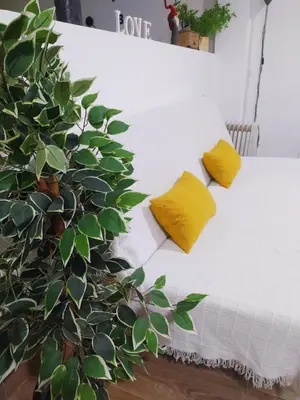 Cama o camas de una habitación en La Magdalena 3