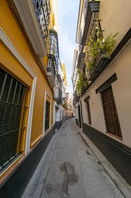 El barrio de los alrededores o un barrio cerca de este apartamento