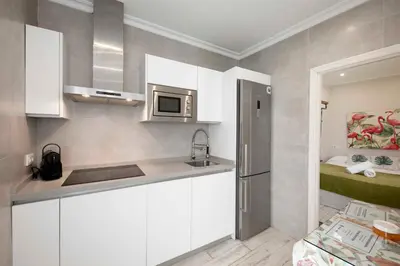 Una cocina o zona de cocina en Apartamentos Recaredo 7, Áticos con terraza