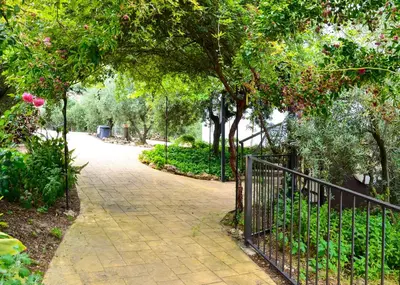 Jardín al aire libre en Casa Rural El Tejar Viejo