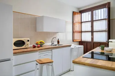 Una cocina o zona de cocina en MonKeys Apartments Alameda