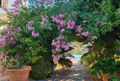 Jardín al aire libre en Cortijo La Haza