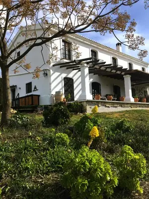 Jardín al aire libre en La Sorpresa