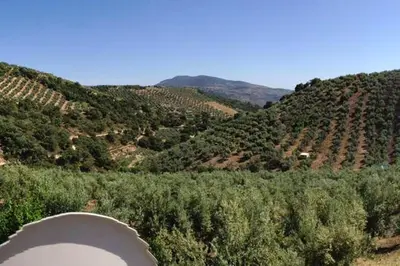 Paisaje cerca de esta villa