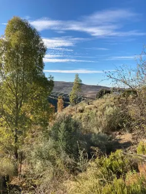 Paisaje cerca de esta casa o chalet