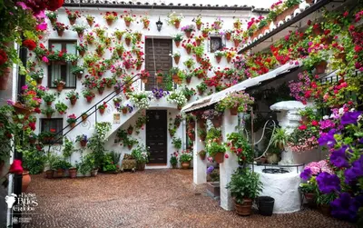 Jardín al aire libre en Casa Juanma