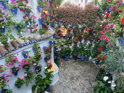 Jardín al aire libre en Ático Casa Lola