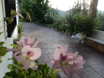 Jardín al aire libre en Puente Piedra