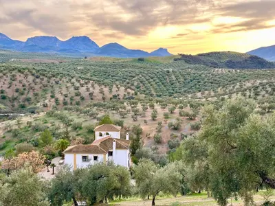 Paisaje cerca de este hotel