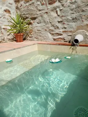 Piscina en o cerca de Casa Rural El Palomar