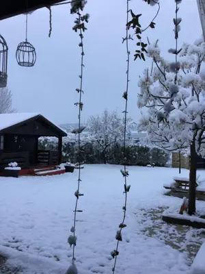 Casa Rural Las Bodegas en invierno