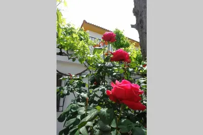 Jardín al aire libre en CampoParaíso Jaén-Casa Rural