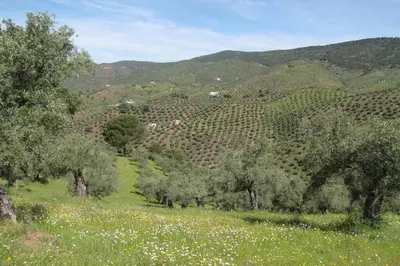 Paisaje cerca de esta casa o chalet