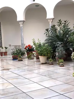 Jardín al aire libre en Central Historic Penthouse
