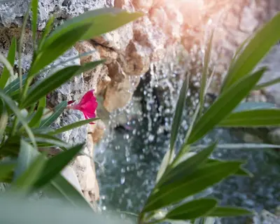 Jardín al aire libre en Villa Fuji Sierra de la Pandera Jaén