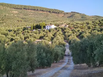 Paisaje cerca de esta casa o chalet
