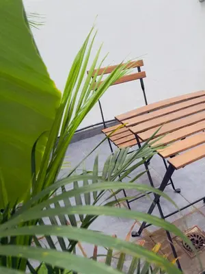 Plano de Apartamento San Pedro-Corredera