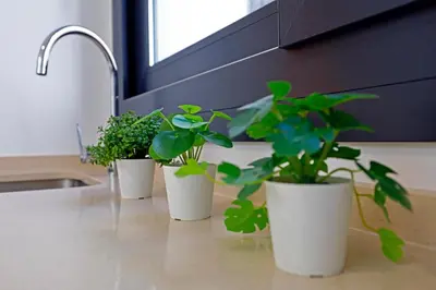 Plano de Victoria Suites Apartments