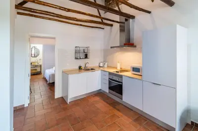 Una cocina o zona de cocina en La Jⲟya de los Patios - Apartamentos Turísticos