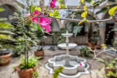 Jardín al aire libre en Casa con patio María Auxiliadora