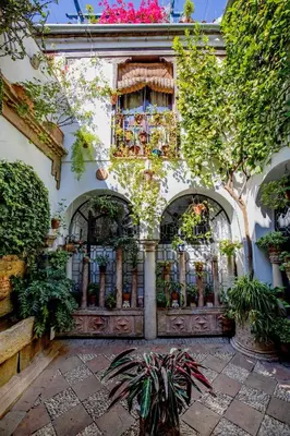 Jardín al aire libre en Apartamento con patio cordobés en San Basilio & Parking