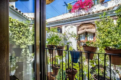 Jardín al aire libre en Apartamento con patio cordobés en San Basilio & Parking